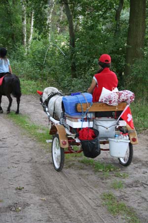 Gestütsweg2008 033