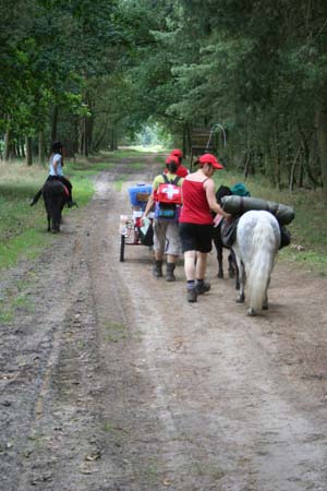 Gestütsweg2008 042