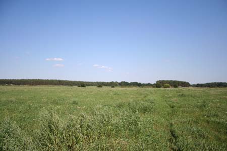 Gestütsweg2008 101
