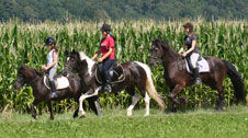 Ausreiten