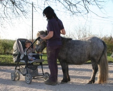 DaVinci beim Kinderwagentraining