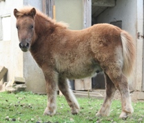 Ecuador