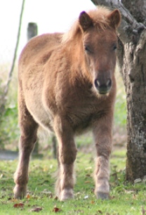 Ecuador